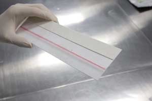 SARS-CoV-2-Antigen-Test-Kit